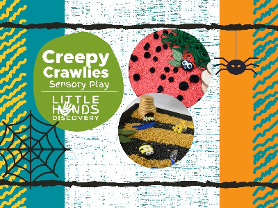 Creepy Crawlies Sensory Play (18 months -6 Years)